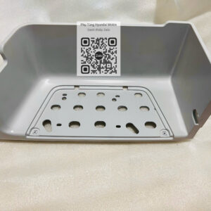 Bước Chân Dưới XCIENT