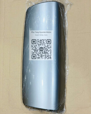 Nắp Gương XCIENT