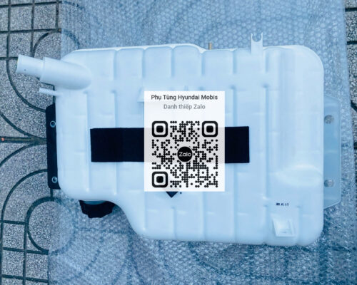 Bình Nước Phụ Xcient