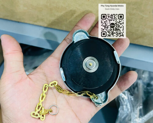 Nắp Đậy Bình Nước Phụ Sau Cabin HD270 HD320 HD360 HD700 HD1000