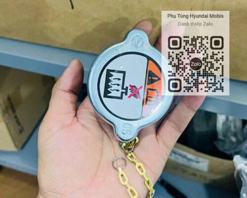 Nắp Đậy Bình Nước Phụ Sau Cabin HD270 HD320 HD360 HD700 HD1000