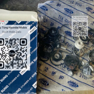 Sin Phớt Bộ Xả Chính HYUNDAIXCIENT