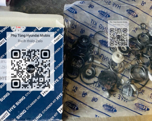 Sin Phớt Bộ Xả Chính HYUNDAIXCIENT